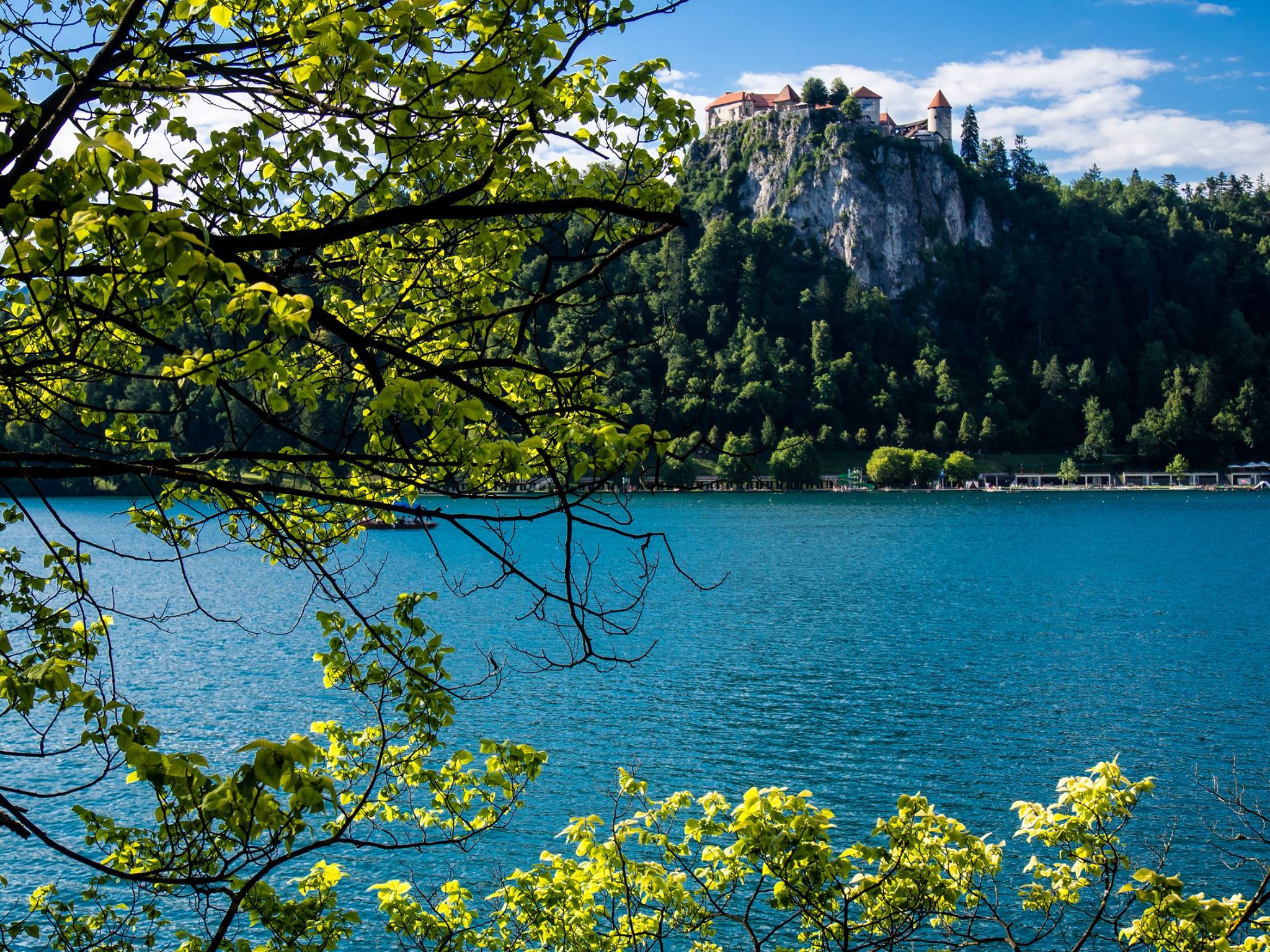 Ojstrica Hike, Best Viewpoint Of Lake Bled | Slovenia - Go Travel Your ...